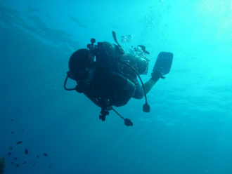 Scuba Diver