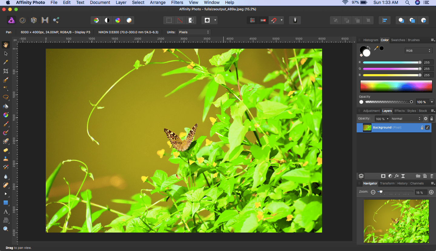 affinity photo butterfly sample