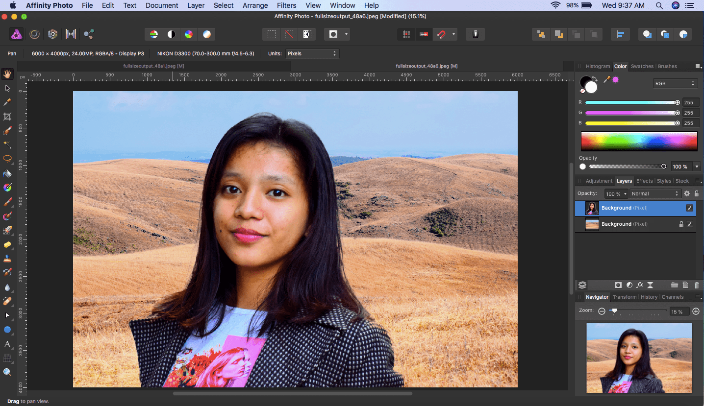 affinity photo selection pasted