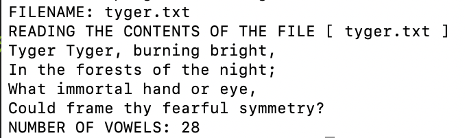 c program read txt file and count vowels