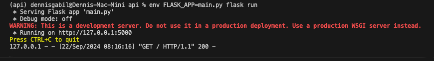 run flask project