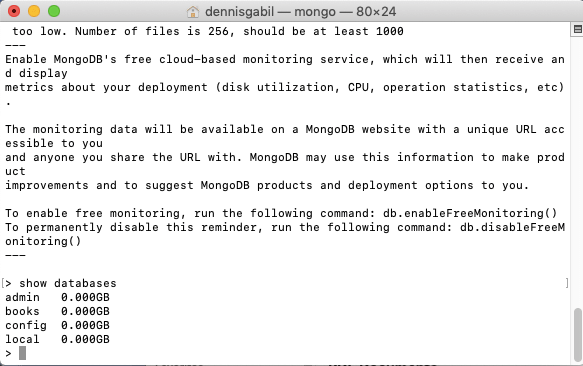 mongodb show databases
