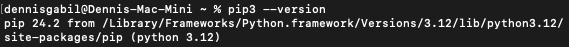 pip3 version