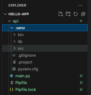 python flask project