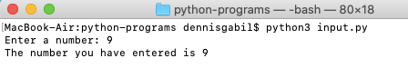 python program integer input