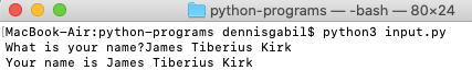 python program name input