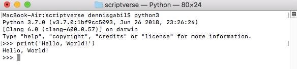 python shell