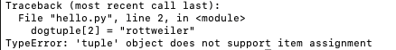 python tuple assignment error